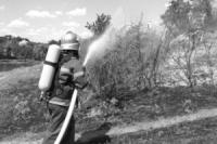 На Кіровоградщині вогнеборцями приборкано 5 пожеж в екосистемах області