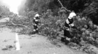 На Кіровоградщині рятувальники тричі надавали допомогу по розпилюванню й прибиранню дерев