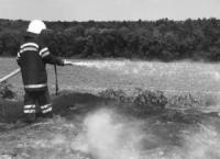 Вогнеборцями на Кіровоградщині приборкано 4 пожежі в екосистемах області