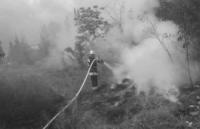 На Кіровоградщині на відкритих територіях загасили 4 пожежі сухої рослинності