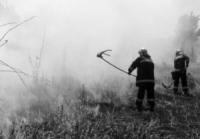 На Кіровоградщині ліквідували 3 пожежі в екосистемі
