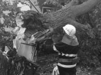 Кіровоградщина: бійці ДСНС 5 разів залучались для надання допомоги по прибиранню повалених дерев