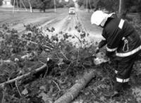 На Кіровоградщині бійці ДСНС 5 разів залучались по прибиранню повалених дерев