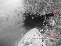 На Кіровоградщині у річці Березівка спостерігається задуха риби