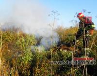 На відкритих територіях Кіровогнрадщини ліквідували 9 пожеж