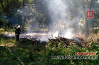 Вогнеборці Кіровоградщини подолали 10 пожеж на відкритих територіях
