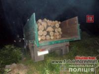 На Кіровоградщині викрили осіб,  причетних до крадіжки деревини