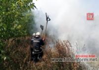 На Кіровоградщині вогнеборці здолали 10 пожеж сухої рослинності