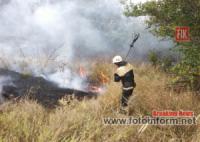 Минулої доби на Кіровоградщині приборкали 5 пожеж сухої трави та сміття