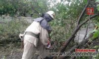 Рятувальники Кіровоградщини надали допомогу по розпилюванню та прибиранню аварійних дерев
