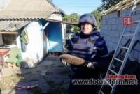 У Кропивницькому сапери знищили 3 вибухонебезпечних предмети