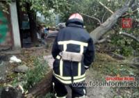 На Кіровоградщині рятувальники 8 разів залучались до розпилювання та прибирання аварійних дерев та гілля