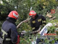 Рятувальники Кіровоградщини 18 разів надавали допомогу по розпилюванню та прибиранню повалених дерев