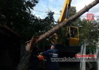 На Кіровоградщині рятувальники 6 разів надавали допомогу по прибиранню аварійних дерев