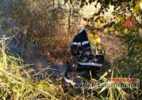 Вогнеборці ліквідували 9 займань у екосистемі Кіровоградської області