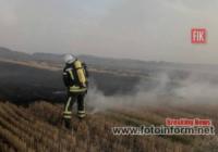 На відкритих територіях Кіровоградщини ліквідували 8 пожеж
