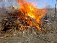 На Кіровоградщині скаржаться,  що мешканці населених пунктів спалюють сухе листя,  траву та сміття