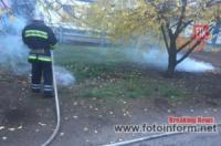 Протягом доби на території Кіровоградщини виникло 4 пожежі
