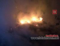 У Кропивницькому загасили пожежу сміття на відкритій території
