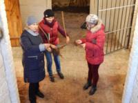 На Кіровоградщині провели моніторинг садивного матеріалу у «Веселих Боковеньках»