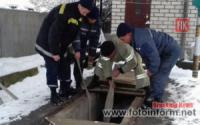 На Кіровоградщині рятувальники допомогли дістати вівчарку з ями