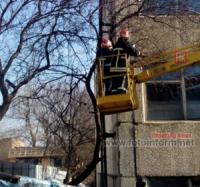 На Кіровоградщині рятувальники спиляли аварійні дерева