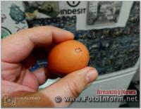 Чому різні по розміру курячі яйця в магазинах Кропивницького коштують однаково?