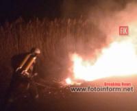 На Кіровоградщині за минулу добу ліквідували 5 пожеж сухої рослинності