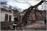 Наслідки негоди на Кіровоградщині: повалені дерева та знесені балконі рами