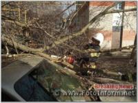 Буревій на Кіровоградщині: внаслідок негоди знеструмлено 7 населених пунктів