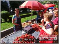 У Кропивницькому проходить ярмарок полуниці