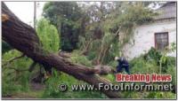 Рятувальники Кіровоградщини 4 рази виїздили для надання допомоги по прибиранню повалених дерев