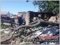 На Кіровоградщині аварiйне дерево ледь не впало на тротуар