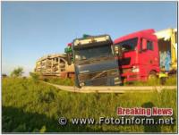 На Кіровоградщині у ДТП зіткнулися дві вантажівки