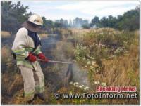 На Кіровоградщині виникло 14 пожеж на відкритих територіях