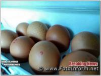 У Кропивницькому курячі яйця дорожчають кожного дня