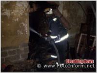 На Кіровоградщині вогнеборці приборкали пожежу надвірних споруд