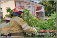 На Кіровоградщині рятувальники 6 разів виїздили на прибирання аварійних дерев