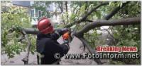 На Кіровоградщині прибирали аварійні дерева та гілля
