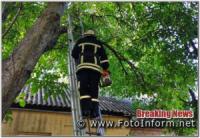 На Кіровоградщині містянам знову надавали допомогу по розпилюванню аварійних дерев