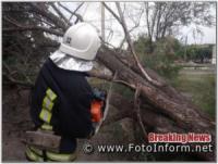 На Кіровоградщині у житловому секторі розпилювали та прибирали аварійні дерева
