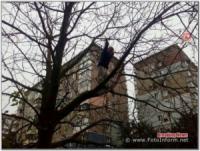 У Кропивницькому рятувальникам довелося спускати дитину з дерева