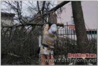 На Кіровоградщині рятувальники усунули небезпеку,  що створювало аварійне дерево