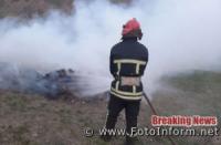 На Кіровоградщині вогнеборцями ліквідовано 11 пожеж в екосистемах
