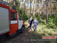 На Кіровоградщині здійснено контрольні патрулювання лісових зон