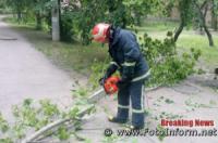 На Кіровоградщині усунули перешкоди,  які створювали аварійні дерева