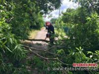 На Кіровоградщині ліквідовували наслідки падіння дерев