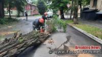 На Кіровоградщині 32 дерева впали на проїжджу частину доріг та тротуари