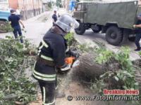 На Кіровоградщині рятувальники 11 разів залучались до прибирання аварійних дерев