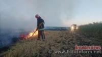Кіровоградщина: за добу,  що минула,  на відкритій території виникло 7 пожеж